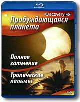 купить discovery: пробуждающаяся планета. полное затмение / тропические пальмы (blu-ray), купить sunrise earth: tropical palms / sunrise seal colony