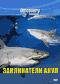 обложка Discovery: Заклинатели акул